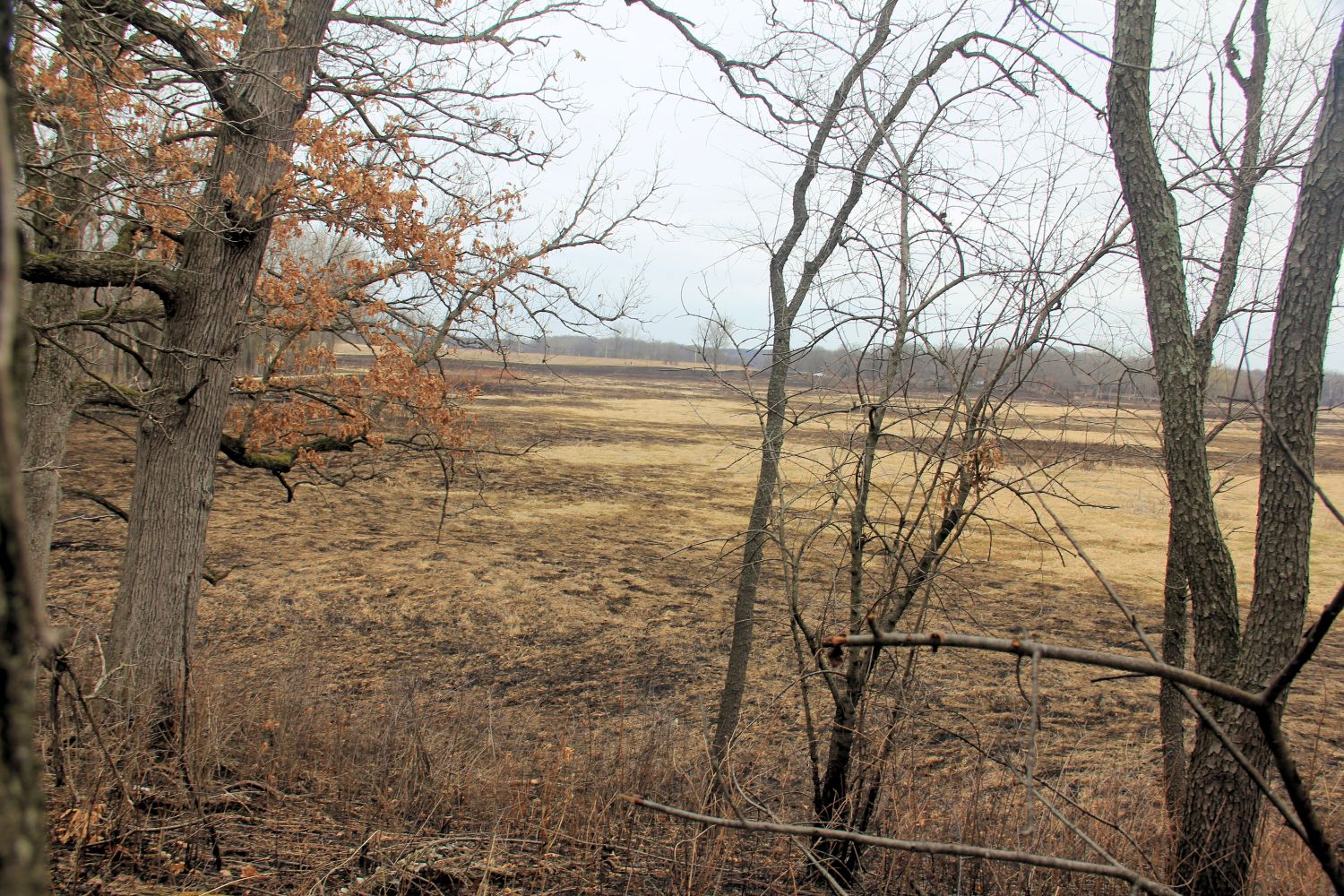 McHenry Dam State Park 